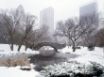 Tapety na plochu - Central Park in winter