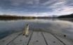 Tapety na plochu - Dog staring at a lake