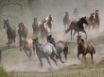 Tapety na plochu - Running horses