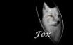 Tapety na plochu - Fox