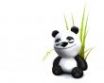 Tapety na plochu - Smiling panda