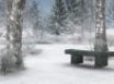 Tapety na plochu - Winter Background
