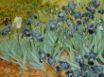 Tapety na plochu - Vista flowers painting