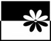 Tapety na plochu - Black white flower