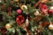 Tapety na plochu - Nice Christmas tree