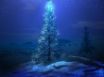 Tapety na plochu - Blue Christmas tree