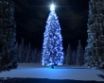 Tapety na plochu - Christmas blue tree