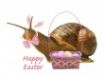 Tapety na plochu - Easter Snail
