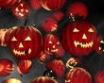 Tapety na plochu - Red pumpkins