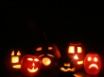 Tapety na plochu - Halloween pumpkins