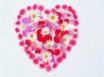 Tapety na plochu - Heart of flowers
