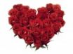 Tapety na plochu - Red Roses Heart