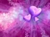 Tapety na plochu - Purple Heart