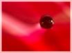 Tapety na plochu - Crimson pearl