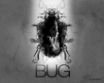 Tapety na plochu - Bug