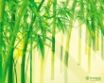 Tapety na plochu - Bamboo scene
