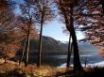 Tapety na plochu - Autumn lake