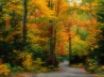 Tapety na plochu - Autumn scenery