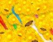 Tapety na plochu - Yellow flowers