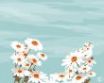 Tapety na plochu - White flowers and sky
