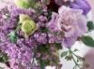 Tapety na plochu - Lilac Blossom