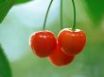 Tapety na plochu - Three cherries