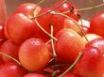 Tapety na plochu - Fresh cherries