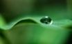 Tapety na plochu - Rain drop on a leaf