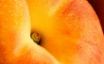 Tapety na plochu - Peach Fruit