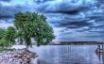 Tapety na plochu - Tree and lake