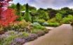 Tapety na plochu - Colorful garden
