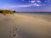 Tapety na plochu - Footsteps on beach