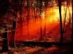 Tapety na plochu - Red sunset