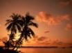 Tapety na plochu - Palms and sunset