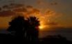 Tapety na plochu - Sunset behind palms