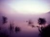 Tapety na plochu - Lake in the Morning