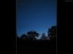 Tapety na plochu - Moon sky and trees