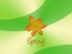 Tapety na plochu - Spring orange flower