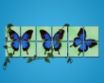 Tapety na plochu - Spring blue butterfly