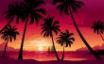 Tapety na plochu - Palms and purple sky