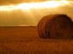 Tapety na plochu - Rolling haystack