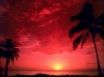 Tapety na plochu - South Pacific Sunset