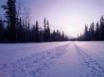 Tapety na plochu - Snow in Road