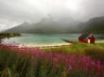 Tapety na plochu - Wild flowers and lake