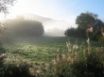 Tapety na plochu - Morning Fog