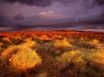Tapety na plochu - Antelope Valley