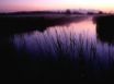 Tapety na plochu - Sunset in Refuge