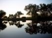 Tapety na plochu - Reflections