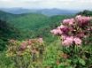 Tapety na plochu - Blue Ridge Parkway