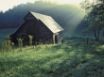 Tapety na plochu - Tennessee
